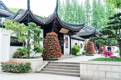 捷报丨设计学院风景园林系2个项目获2019英国国家景观奖 bali