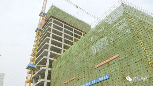 黄陂区融媒体中心大楼主体工程顺利封顶，二期建设即将全面展开
